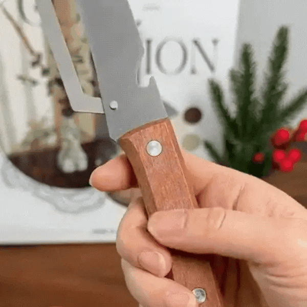 ✨Buy 1 Get 1 Free✨Multi-Functional Vegetable Peeler for Kitchen